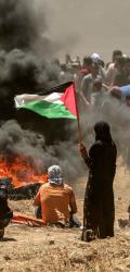 Es deber absoluto de todos los musulmanes acudir a socorrer al pueblo palestino