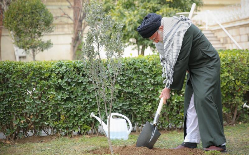 «El olivo que plantamos hoy fue en solidaridad con el oprimido y resistente pueblo de Palestina»